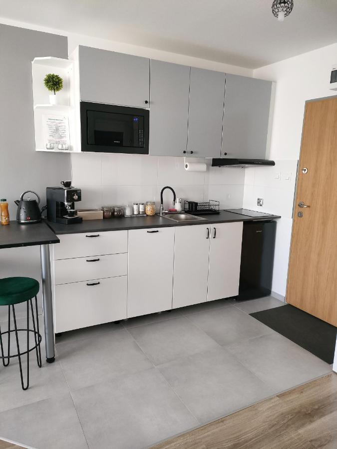 ビャウィストクPrzytulny Apartament Na Mlynowejアパートメント エクステリア 写真